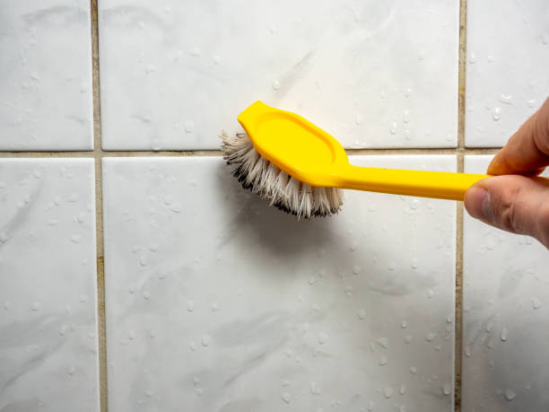 Reliable Goodman, MO Mold Removal Solutions