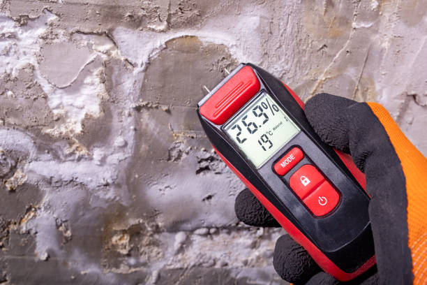Best Certified Mold Removal  in Goodman, MO