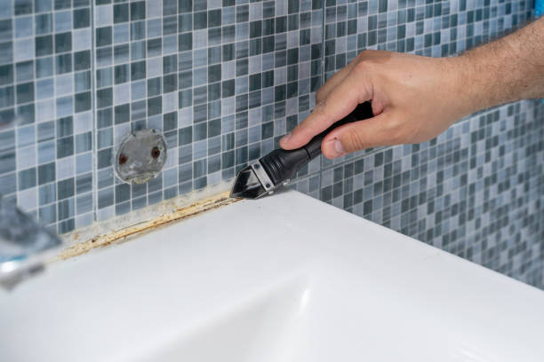 Mold Removal and Inspection in Goodman, MO